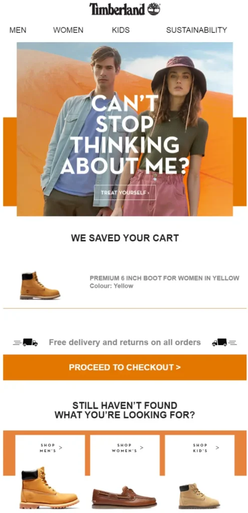 abandoned cart email example